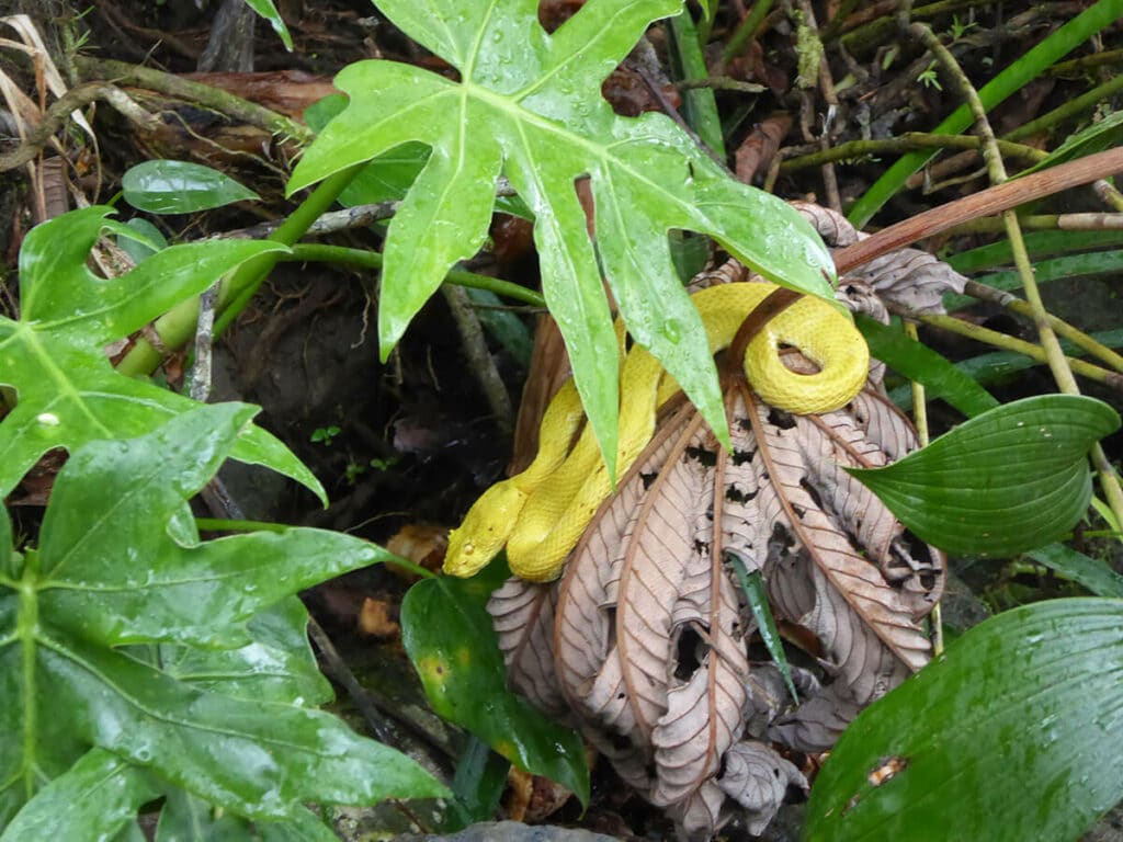 Costa Rica