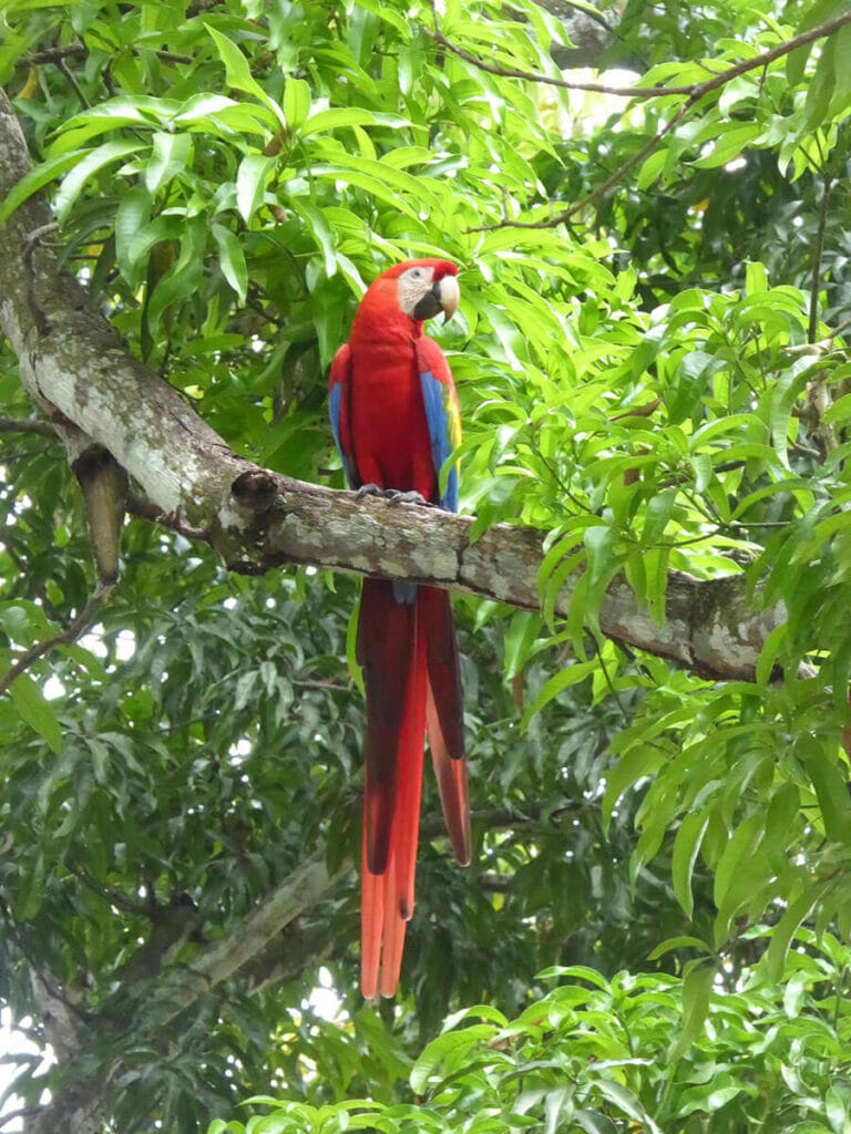 Costa Rica