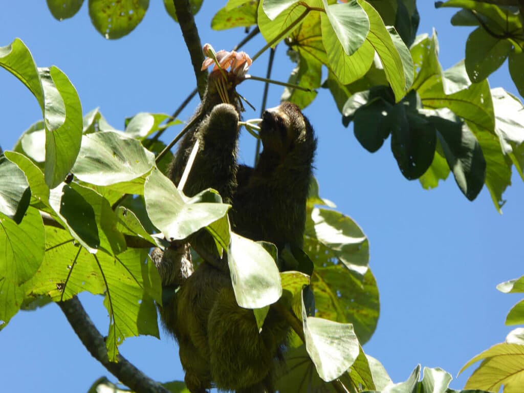 Costa Rica
