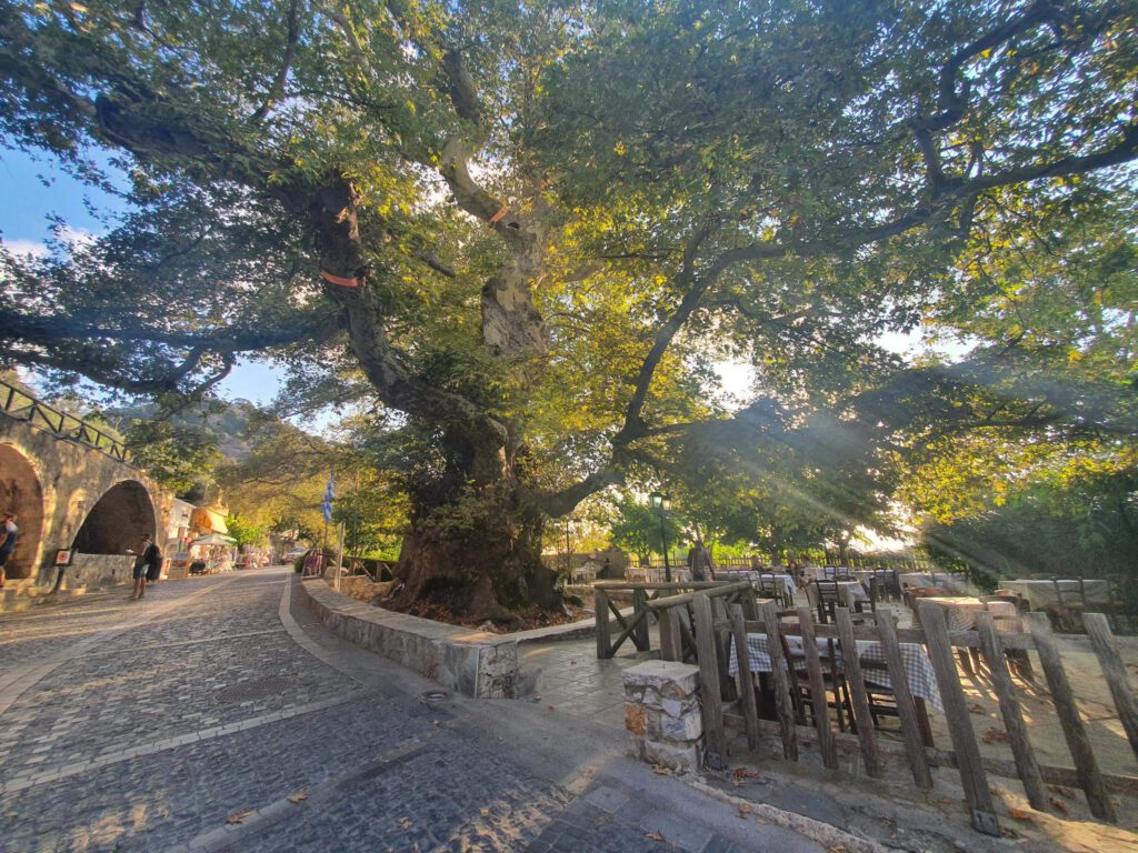 Ambiente-Reiseservice Kreta