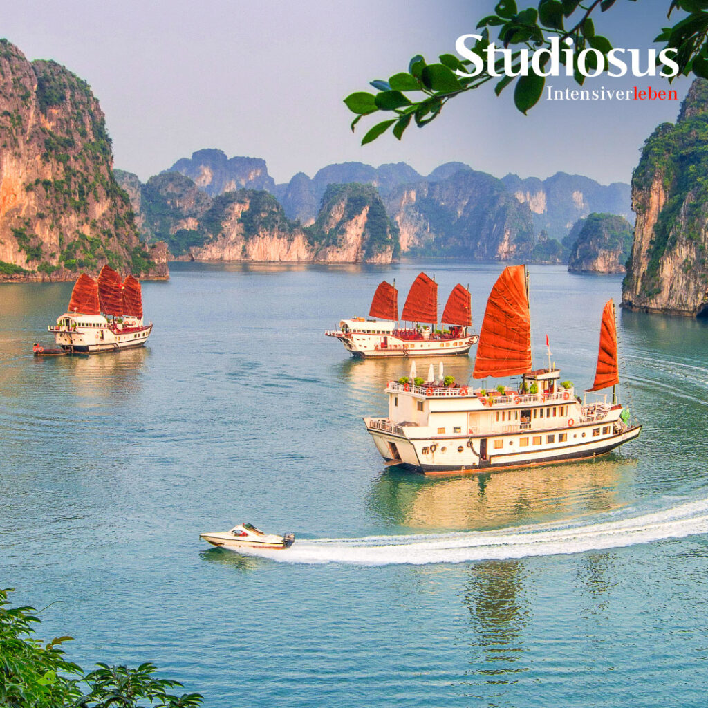 Studiosus 2 Studiosus