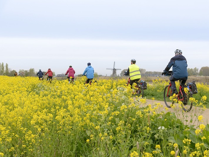 Fahrradtour durch Rapsfelder in Holland