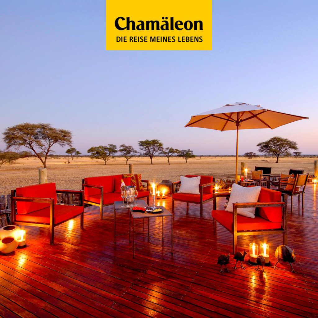 Chamäleon Reisen 5 Chamaeleon