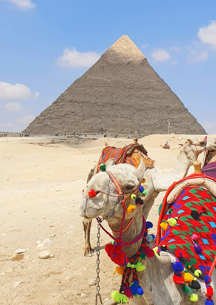 Home 52 phoenix Reisen Nilkreuzfahrt mit GEM Gizeh