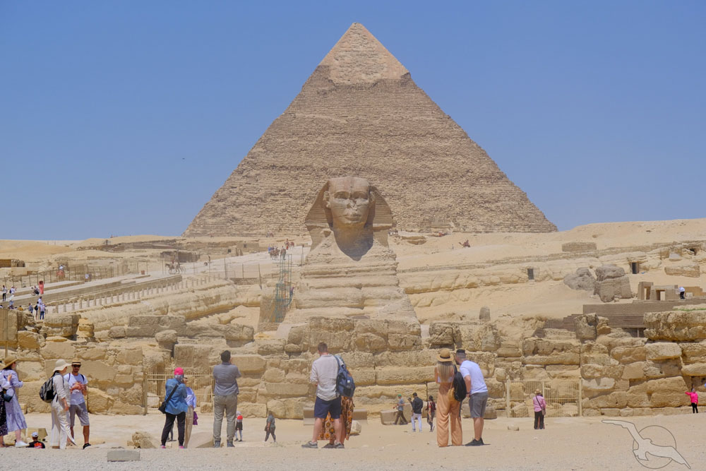 Home 60 phoenix Reisen Nilkreuzfahrt mit GEM Gizeh