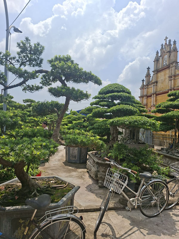 Asien hautnah – Stippvisite in Vietnam 27 Vietnam - Ulrike Buhmann