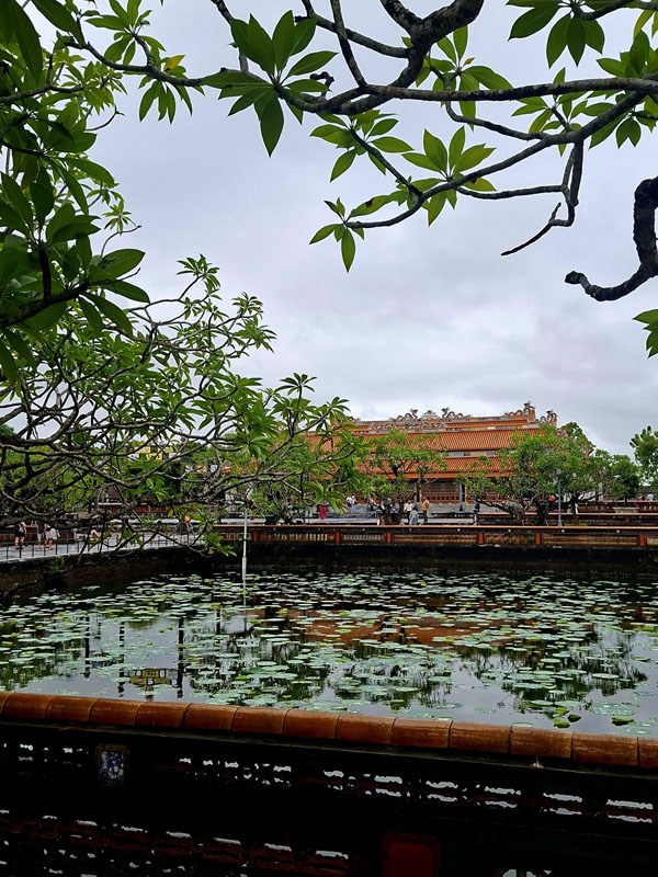Asien hautnah – Stippvisite in Vietnam 31 Vietnam - Ulrike Buhmann