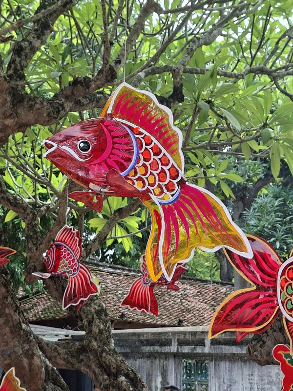 Asien hautnah – Stippvisite in Vietnam 4 Vietnam - Ulrike Buhmann